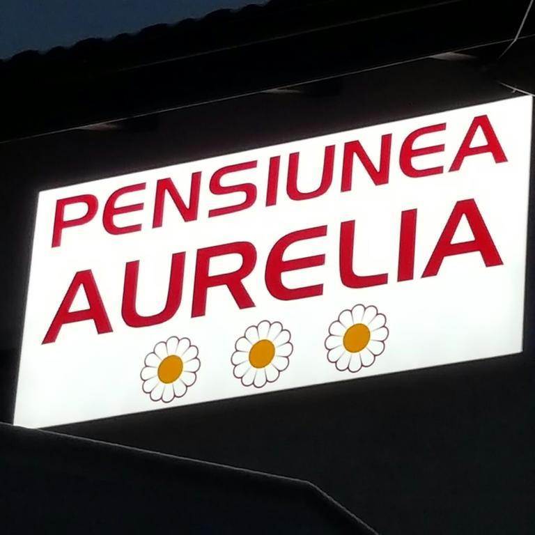Pensiunea Aurelia Siria Zewnętrze zdjęcie