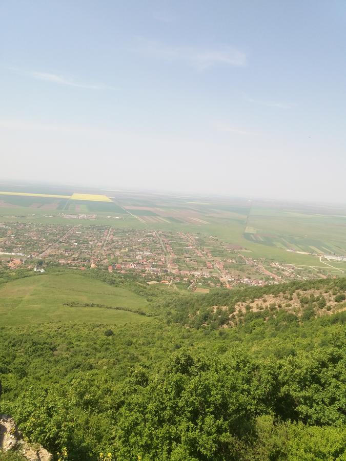 Pensiunea Aurelia Siria Zewnętrze zdjęcie